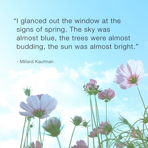 Cute Spring Quotes with Images