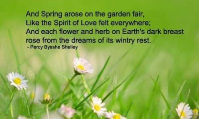 1493504393 337 31 Spring Quotes And Sayings With Images