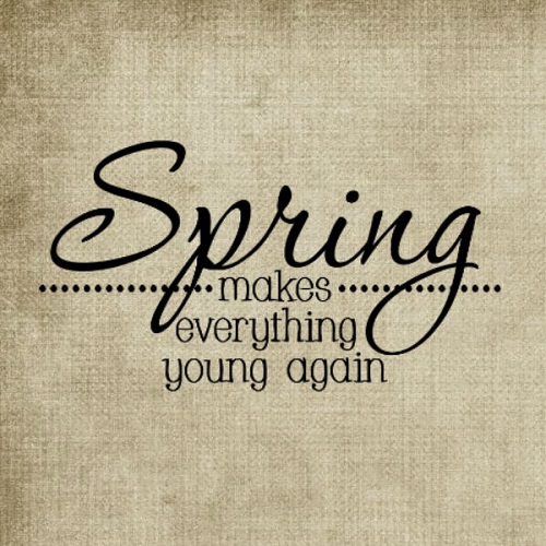 Spring Quotes with Images