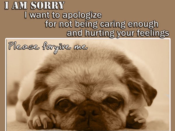 Apologize Quotes