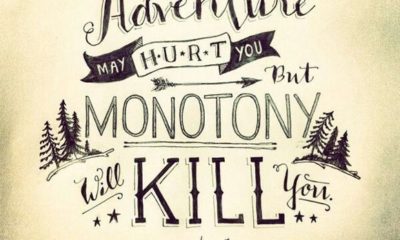 Adventure May Hurt You