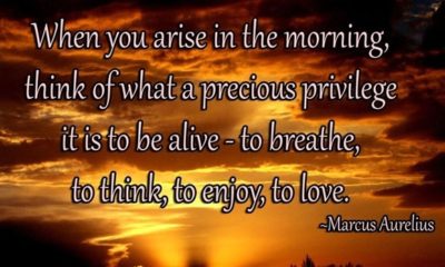 Arise In The Morning