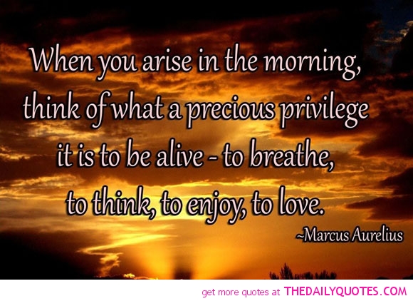 Arise In The Morning