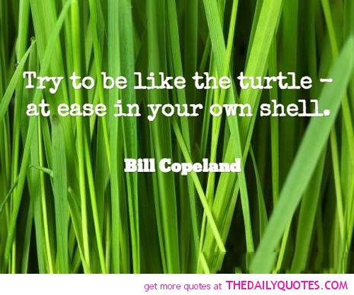 Be Like The Turtle