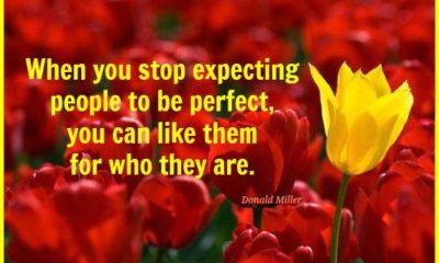 Be Perfect