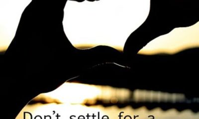 Dont Settle