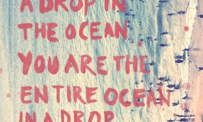 Drop In The Ocean