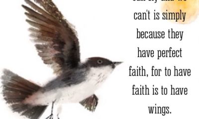 Have Faith