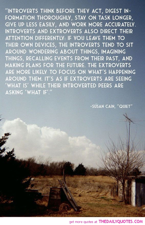 Introverts Extroverts