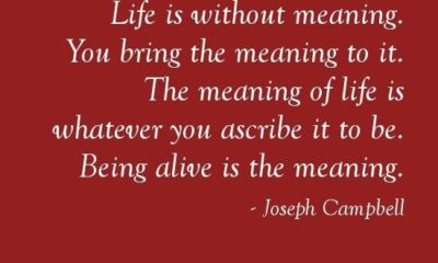 Life Is Without Meaning