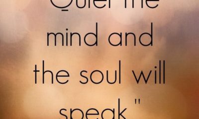 Quiet The Mind