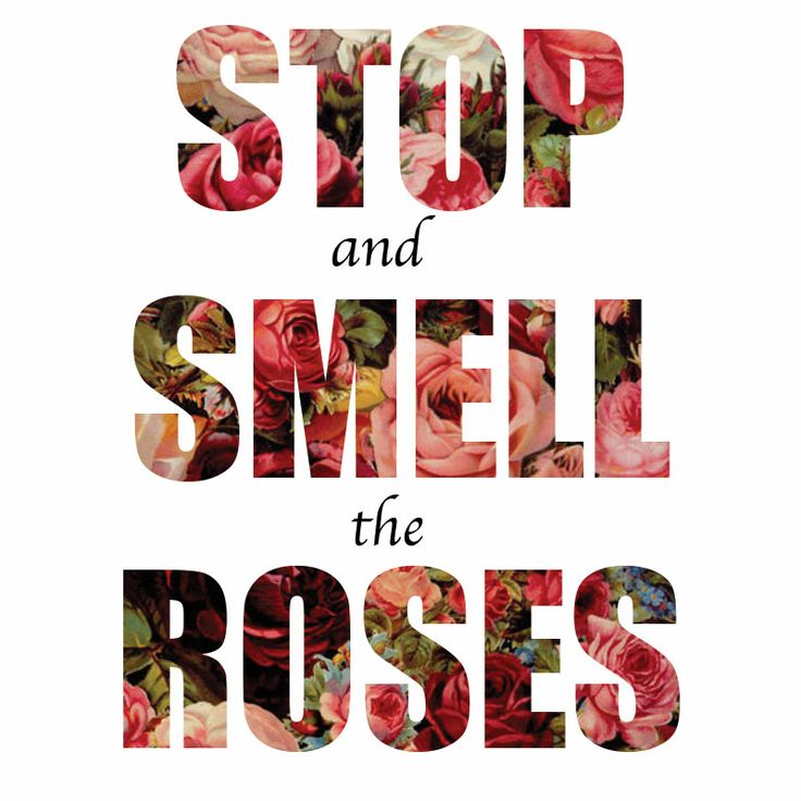 Smell The Roses
