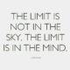 The Limit