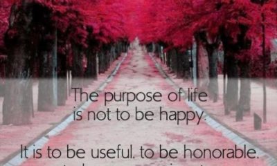 The Purpose Of Life