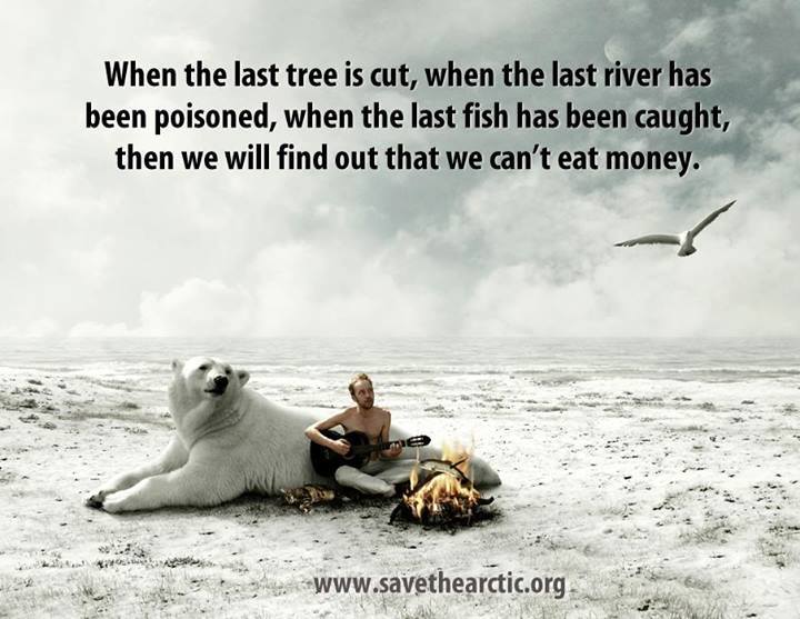 When The Last Tree Is Cut
