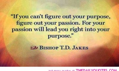 Your Passion