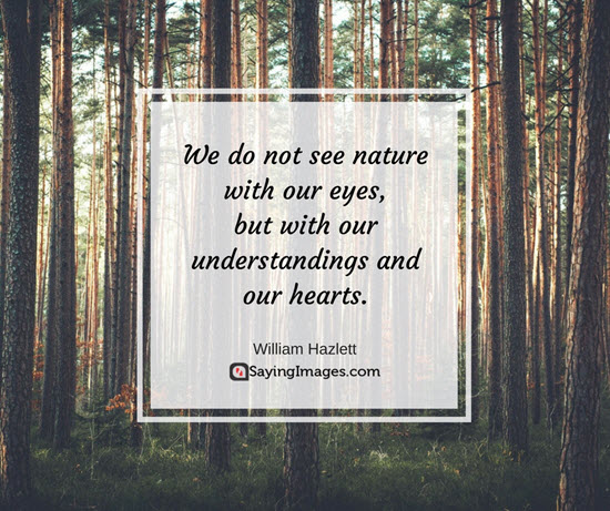 love nature quotes