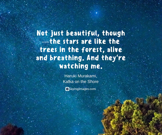 love and nature quotes