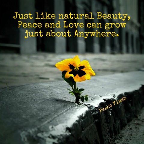 nature quote 2