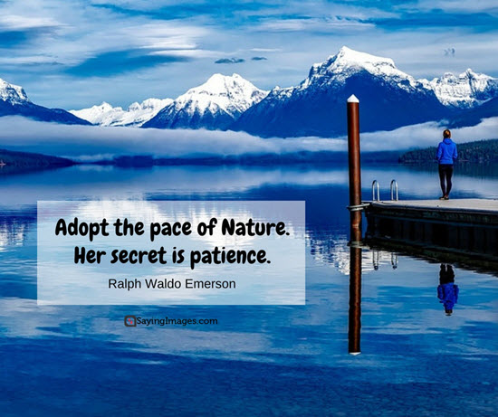 beauty of nature quotes
