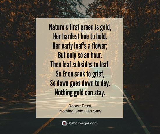 love of nature quotes