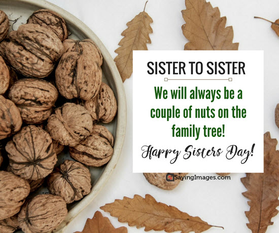 sisterhood quotes