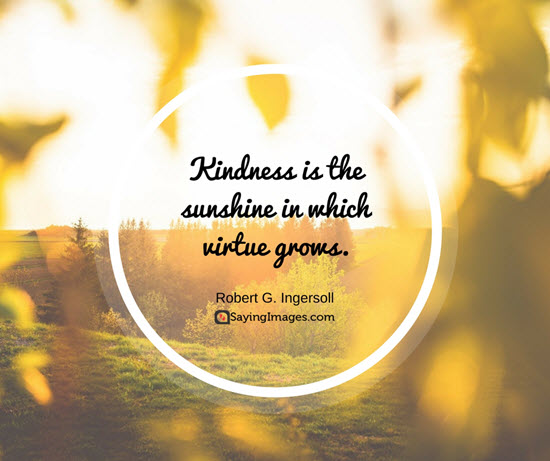 robert ingersoll quotes kindness