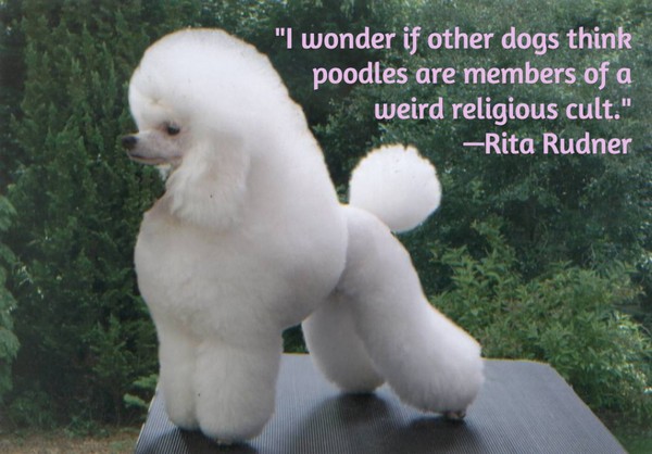 Dog Memorial Quotes