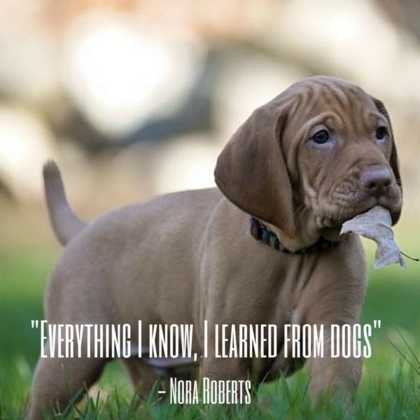 Dog Quote Roberts