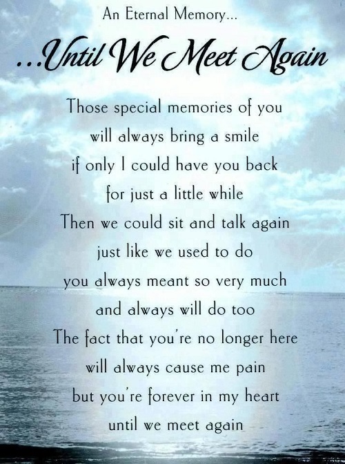 Sweet Sympathy Quotes