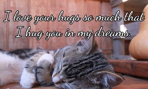 Love your Hugs Love Quotes for Her