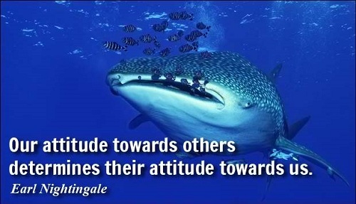 Cool Quotes on Attitude