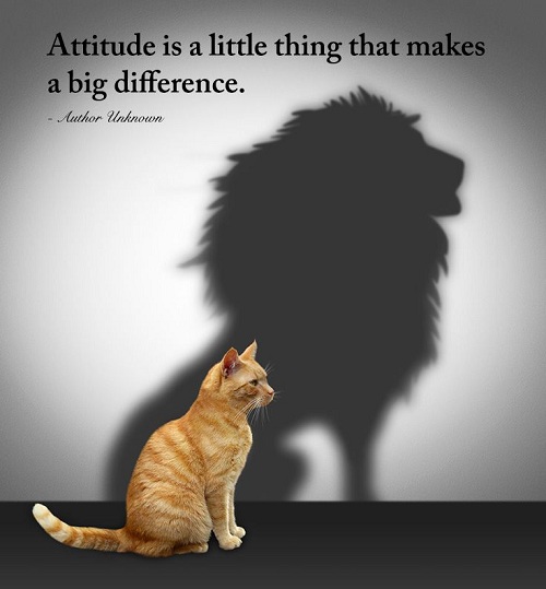 1503413187 559 37 Best Short Quotes On Attitude With Images