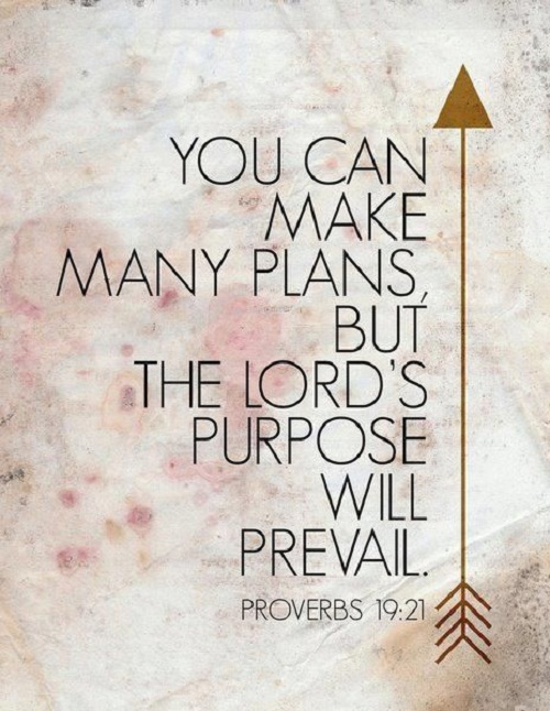 Lords Purpose Bible Quotes