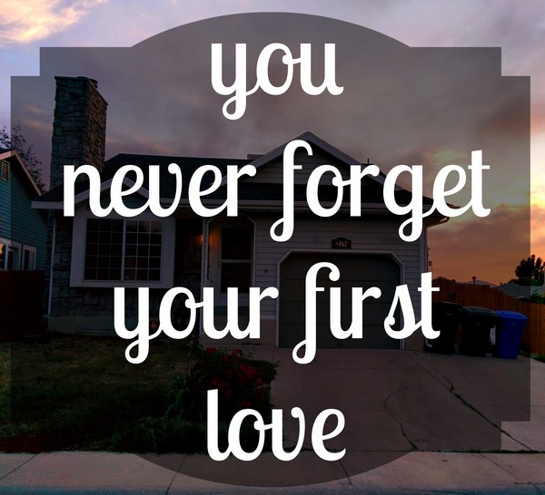 A Millionaire'S First Love Quotes