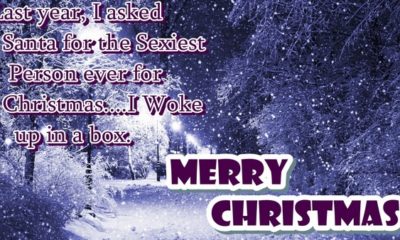 1503954161 719 110 Merry Christmas Greetings Sayings And Phrases