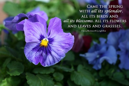 Famous Happy Spring Quotes