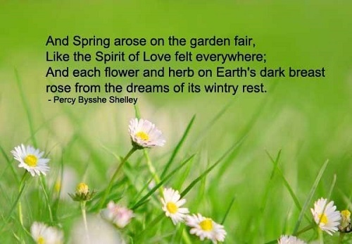 1503975955 199 31 Spring Quotes And Sayings With Images