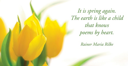 Spring Quotes with Image