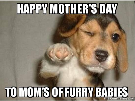 20 Sweet Happy Mother's Day Memes - Word Porn Quotes, Love Quotes, Life  Quotes, Inspirational Quotes