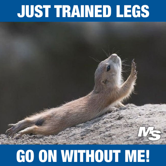 25 Hilarious After Leg Day Meme - Word Porn Quotes, Love Quotes, Life  Quotes, Inspirational Quotes