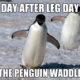 1504891069 957 25 Hilarious After Leg Day Meme