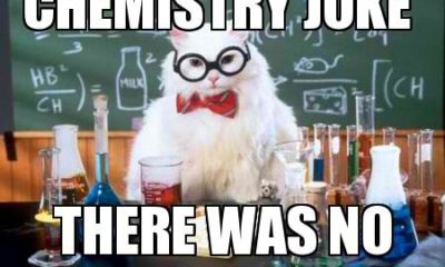 1505978765 784 20 Hilarious Teacher Memes That Are Too Funny If Youre A Teacher