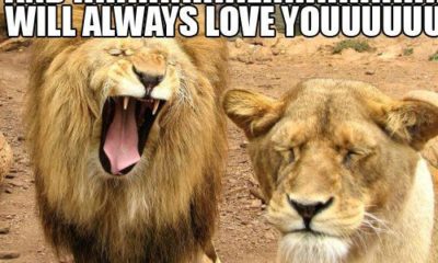 20 Funny I Love You Memes