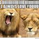 20 Funny I Love You Memes