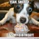 20 Happy Birthday Memes For Your Best Friend