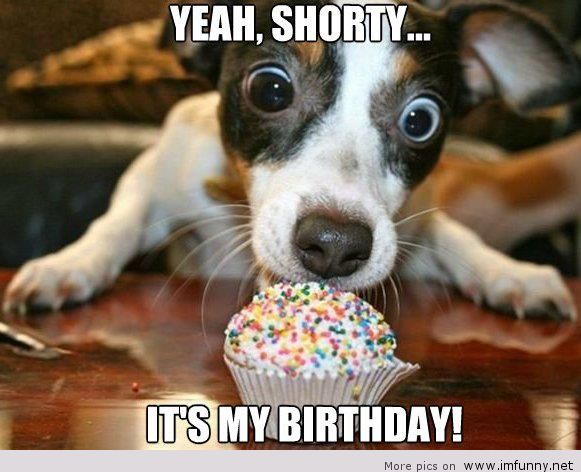 20 Happy Birthday Memes For Your Best Friend