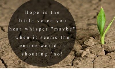 Hope Is The Little Voice 1