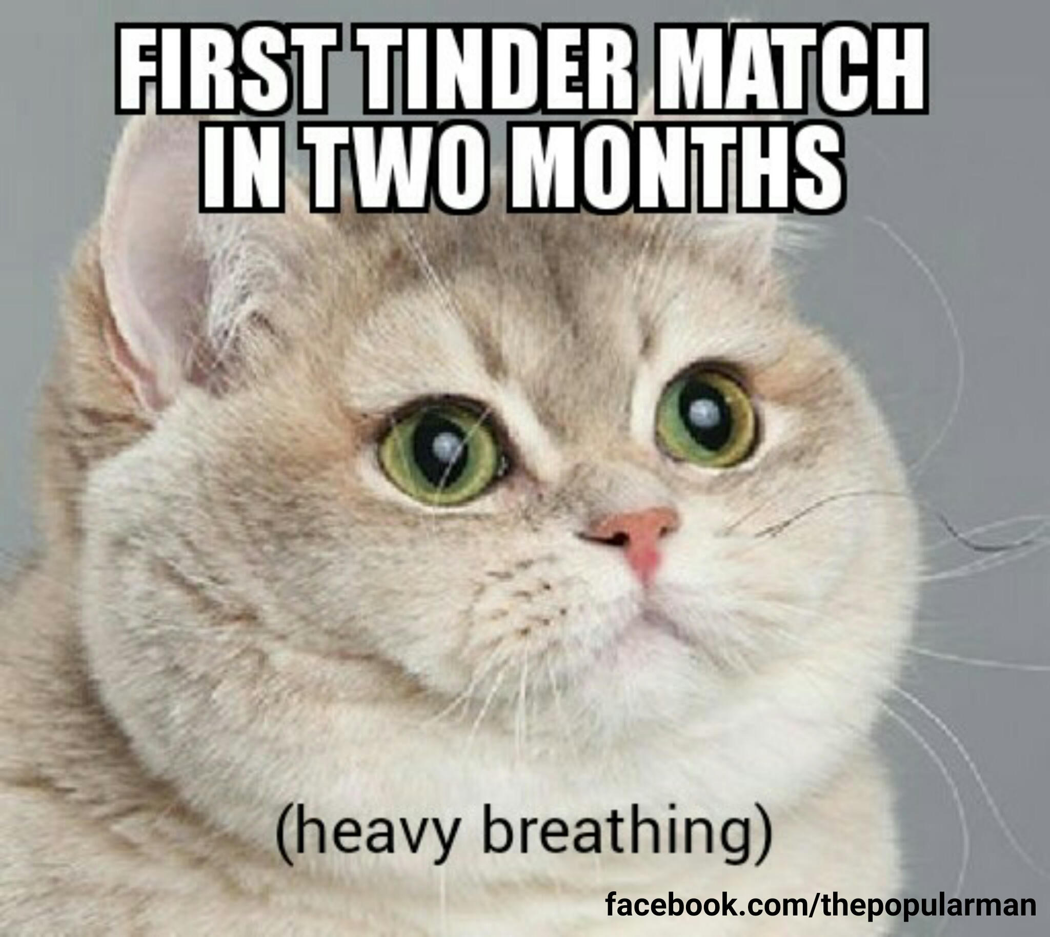 First Tinder Match In Two Months Heavt Breathing Relationship Memes