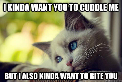1508076037 594 20 Cutest Cuddle Memes